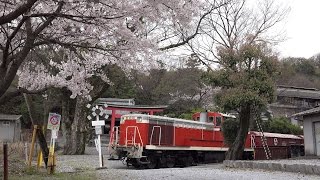 神社を走る貨物列車　西濃鉄道DE10 501と赤ホキ貨物