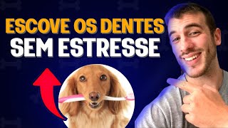 COMO ESCOVAR OS DENTES DO SEU CACHORRO | PASSO A PASSO COMPLETO NA PRÁTICA