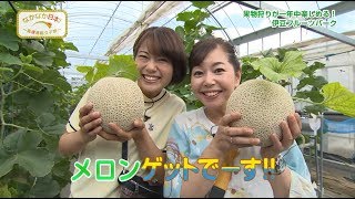 なかなか日本！～高速道路女子旅～　#56　 果物狩りが一年中楽しめる！ 伊豆フルーツパーク