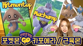 [포켓몬GO] 카포에라,근육몬 희귀 야생포켓몬 획득! Pokémon GO wild Hitmontop Machamp