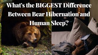 What's the BIGGEST Difference Between Bear Hibernation and Human Sleep?