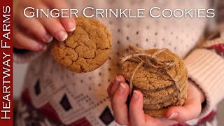 Spiced Ginger Crinkle Cookies | Christmas Holiday Ginger Snaps | Homemade Cookie