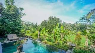 Spectacular modern take on traditional Javanese Joglo-style house - Villa for lease in Ubud Property