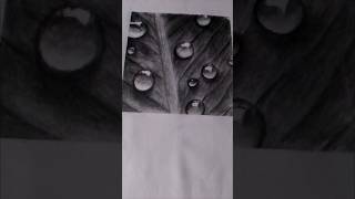 Realistic Leaf Sketch Drawing #youtubeshorts #trending #art #shorts #song #leaf