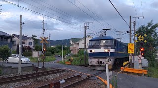 山陽本線 寺家～八本松 貨物列車 2081ﾚ 2023.08