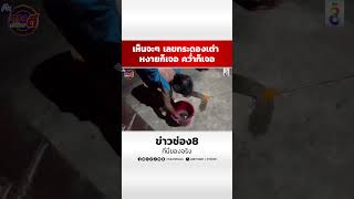 เห็นจะๆ เลขกระดองเต่า หงายก็เจอ คว่ำก็เจอ | SHORTS CLIP | ข่าวช่อง8