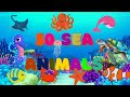 50 Sea Animals For kids and Toddlers Learning | English Vocabulary | Kids Learning