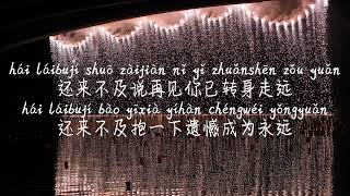 【来不及说再见-艾辰】LAI BU JI SHUO ZAIJIAN-AI CHEN /TIKTOK,抖音,틱톡/Pinyin Lyrics, 拼音歌词, 병음가사/No AD, 无广告, 광고없음