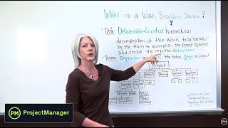 Project Management: What is a Work Breakdown Structure?