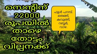 സെന്റിന് വെറും 22000 രൂപയിൽ താഴെ തോട്ടം അർജന്റായി വില്പനക്ക് ഉണ്ട്