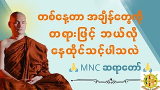 🌲🍁တစ်နေ့တာ အချိန်တွေကို တရားဖြင့် ဘယ်လိုနေထိုင်သသ့်ပါသလဲ🍁🌿🌲 MNC ဆရာတော် 🙏