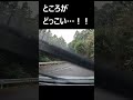 【これぞ初見殺し！】県道に忍び寄る恐ろしい隠密険道