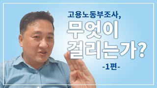 [인사노무] 고용노동부조사, 무엇이 걸리는가 1편