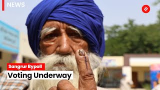 Punjab: Polling Underway for Sangrur Parliamentary Bypoll