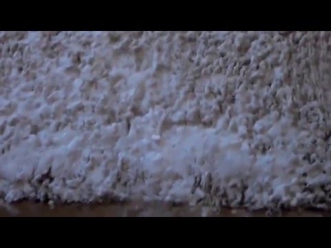 Effectively Remove Stains & Pet Urine Cheap Effectively Remove Stains & Pet Urine Cheap