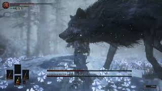 Rimeblood Hati and Great wolf Skoll - Dark Souls Archthrone Demo