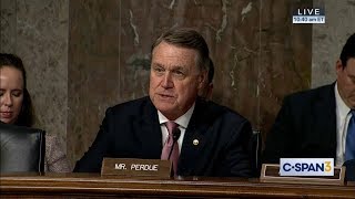 Senator David Perdue Questions General Mark Milley In Confirmation Hearing