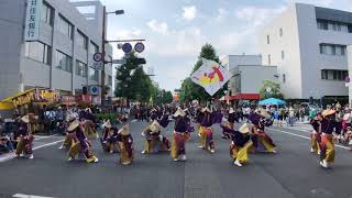 嘉人恋 栄の国祭り よさこい佐賀 2019.08.03(土)