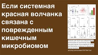 Если системная красная волчанка связана с измененным кишечным микробиомом