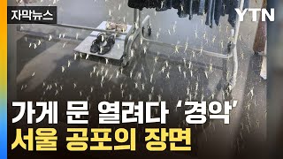 [자막뉴스] '우글우글' 서울 뒤덮었다...소름 끼치는 장면 / YTN