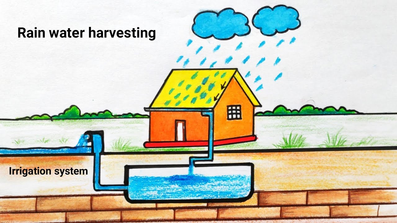 How To Draw Save Rain Water Harvesting | Rain Water Harvesting Drawing ...