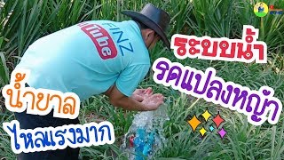 ระบบน้ำบาดาลรดแปลงหญ้า ทำยังไงให้น้ำไหลแรง/ OK FINZ / OK FARM