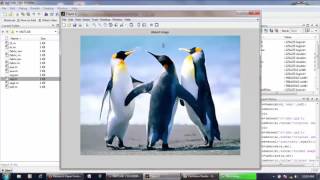 Morphology, Skeletonization and segmentation in MATLAB Module-7 For Thesis +91-8283824812