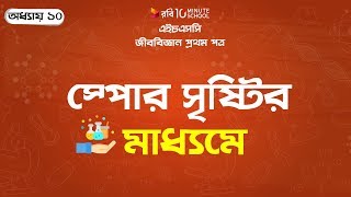 ১০। অধ্যায় ১০ - অযৌন প্রজননঃ স্পোর সৃষ্টির মাধ্যমে (Asexual Reproduction: Through Spore)