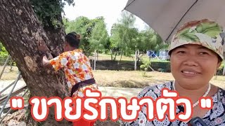 ( ปิดการขาย )#ขายที่ดินราคาถูก เกือบ 5 ไร่ 🎋🎋🎋  เมือง สุพรรณบุรี สอบถามคุณแหม่ม 089-0084-926