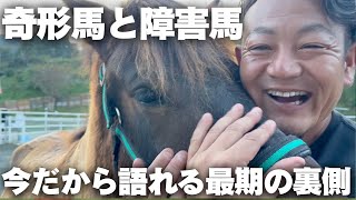 【奇形馬】今だから語れる最期の裏側