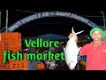 Vellore fish market| NAMMA OORU VELLORE