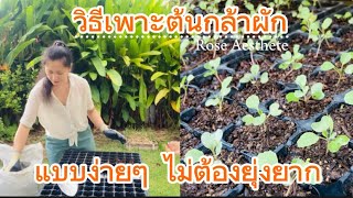 วิธีเพาะต้นกล้า แบบง่ายๆ ไม่ต้องยุ่งยาก (Ep.161)Rose Aesthete|De Kooter Garden