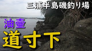 神奈川磯釣り場 油壺 道寸下の磯 三浦半島 油壷マリンパーク メジナ釣り クロダイ釣り MANCING MANIA JAPAN