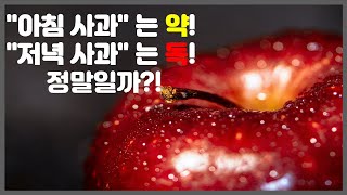 아침 사과는 약! 저녁 사과는 독! 정말일까?! #사과#아침사과#항산화음식