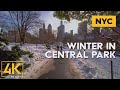 Winter Walk through Central Park, Manhattan, NYC - December, 2020 - 4K Virtual Tour with City Sounds