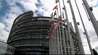 Европарламент обвиняет инициаторов \