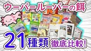 【保存版】ウーパールーパーの餌 21種類を徹底比較！