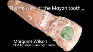 The Mayan tooth