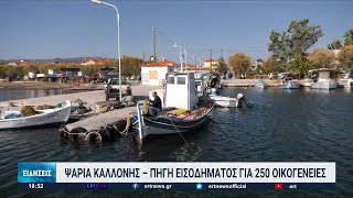 Λέσβος: Ο Κόλπος Καλλονής συντηρεί 250 οικογένειες | 27/10/2022 | ΕΡΤ