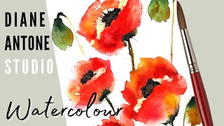 The First Flower Painting Tutorial I posted on YouTube- loose watercolor poppies