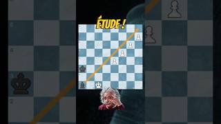 NULLE INEVITABLE ?? | Etude #chess #echecs #strategies