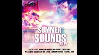 Summer Sounds 2014 - The Album