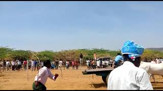 Edulapalli Bull race