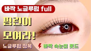 바짝 노글루펌 완전 정복📌백뷰티 파랑이 롯드,L컬 속눈썹펌,lash lifting