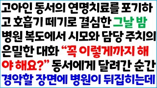 [반전사이다사연] 고아인 동서의 연명치료를 포기하고 호흡기 떼기로 결심한 그날 밤, 병원 복도에서 시모와 담당 주치의 은밀한 대화 \