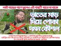 মাত্র ৫ টাকায় লাউ কুমড়ার রেড পাম্পকিন বিটল দমন - ফলন হবে ১০গুন ।  Lau Misti Kumra Red Pumpkin Beetle