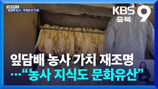 [집중취재] 잎담배 농사 가치 재조명…“농사 지식도 문화유산” / KBS  2025.02.14.