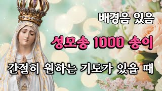 🙏 성모송 1000 번 | 간절히 원하는 기도가 있을 때 | 은총 | 마음의 평화 | 치유 | 자비 | 위로 | 잠잘 때 듣는 기도 | 중간광고없음