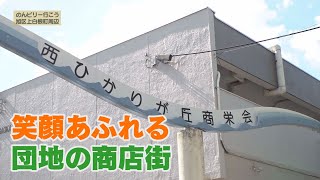 地域発信バラエティ― のんビリー行こう 11月後半（旭区上白根町周辺）