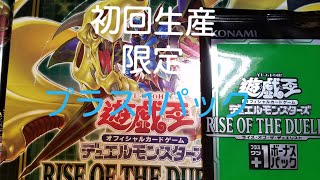 【遊戯王】ライズ・オブ・ザ・デュエリスト❗プラス1パック